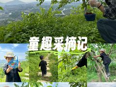 -大罗山风景区