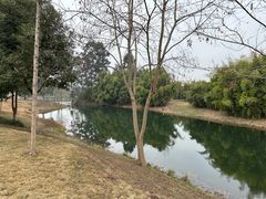 -眉山湿地公园(东坡区)