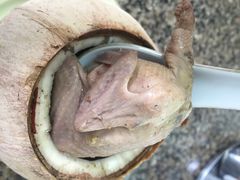 日添美食馆-日添美食馆