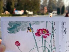 -洛阳白马寺