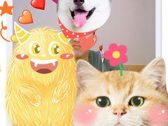 -鱼四季(五彩世界店)