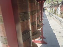 -护国法轮寺