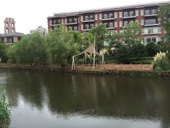 江湾湿地公园-新江湾城公园