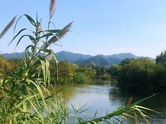 -西溪国家湿地公园