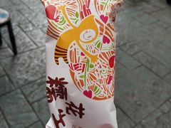 -红旗连锁(橙色年代分店)