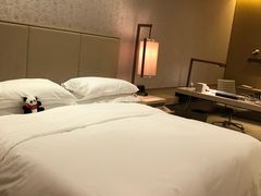 -北京康莱德酒店