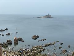 -养马岛旅游度假区