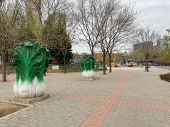 -大望京公园