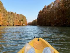 -上海海湾国家森林公园