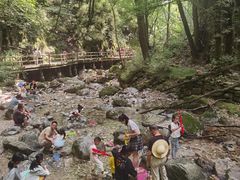 -牛背梁国家森林公园