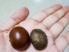 -一栗·新鲜零食炒货(太原街沃尔玛店)