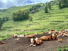 -云座·时光·观景咖啡厅(五爷庙店)