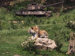 -沈阳森林动物园