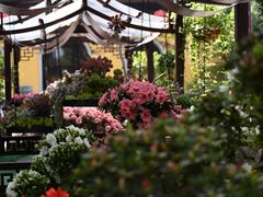 -惠山古镇·寄畅园