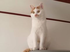 -美联众合24小时·皮肤科·外科·全科诊疗中心(华苑分院)