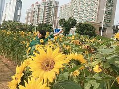 -情侣路
