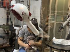 -PETKIT小佩宠物(昭化店)