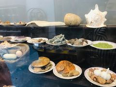 -游龙石文化科普馆