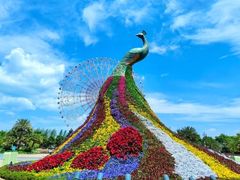 -七彩云南欢乐世界