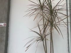 -微焙咖啡工厂(海峡创意产业园·红坊店)
