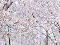 -西北湖绿化广场