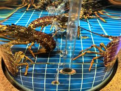 -新荣记(西溪湿地店)