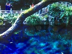 -蝴蝶泉公园