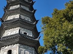 -苏州上方山国家森林公园