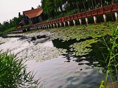-太湖湖滨国家湿地公园-停车场
