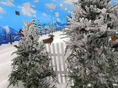 -世界之窗阿尔卑斯冰雪世界