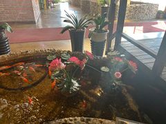 -回忆以前铁锅炖鱼村(一部六号街店)