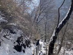 -青峰峡国家森林公园