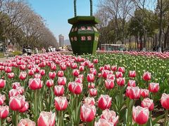 -玄武湖景区-情侣园游乐场