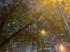 -中央广播电视总台(光华路办公区)