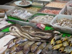 -木柴豆腐·活海鲜·鲁菜