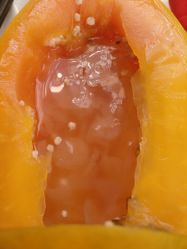 -华东饭店·园林式婚礼宴会厅酒店