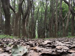 -同里国家湿地公园
