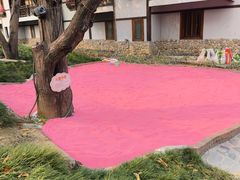 -龙潭生态旅游度假区