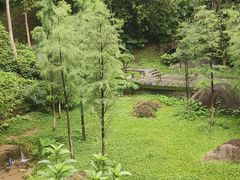 -火炉山森林公园