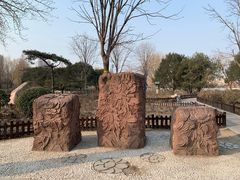 -莲花池公园