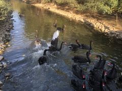 -长白岛森林公园