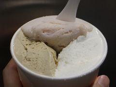 -Dip in Gelato(富民路店)