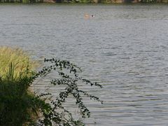 -南京市无想山景区