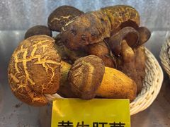 -菌海森林·非遗野生菌火锅(西山区滇池路摩根道店)