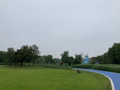 -宜兴龙背山森林公园