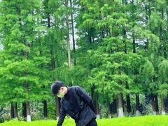 -艾溪湖湿地公园