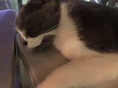 -MIKAKU(万达广场上海宝山店)