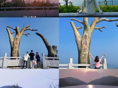 -长沙黑麋峰国家森林公园