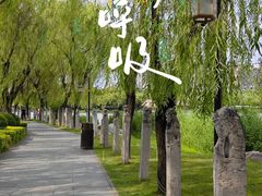 -西安曲江寒窑遗址公园