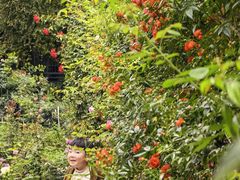 -人民公园(罗湖区)